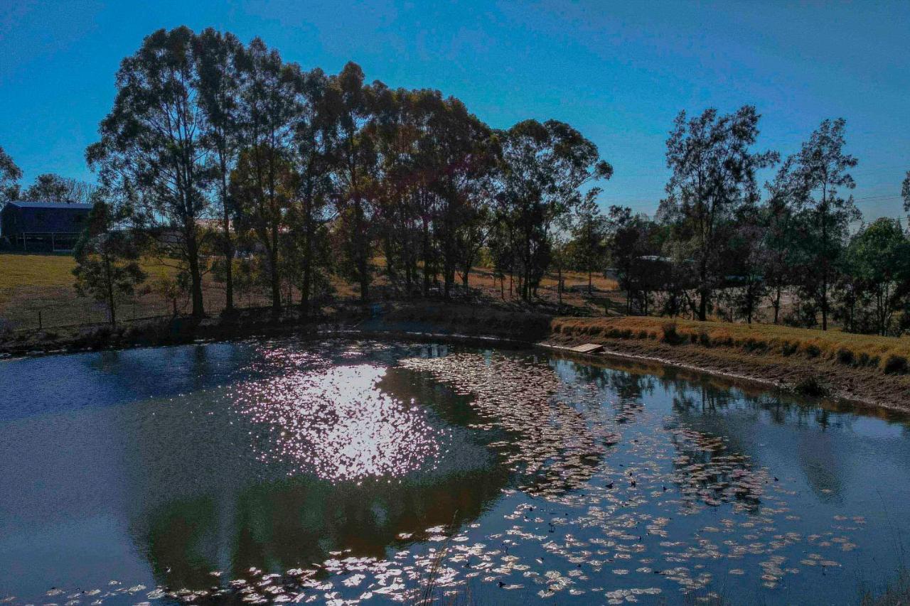 Blueberry Hills On Comleroy Farmstay - Self-Contained Cottages Kurrajong Exterior foto