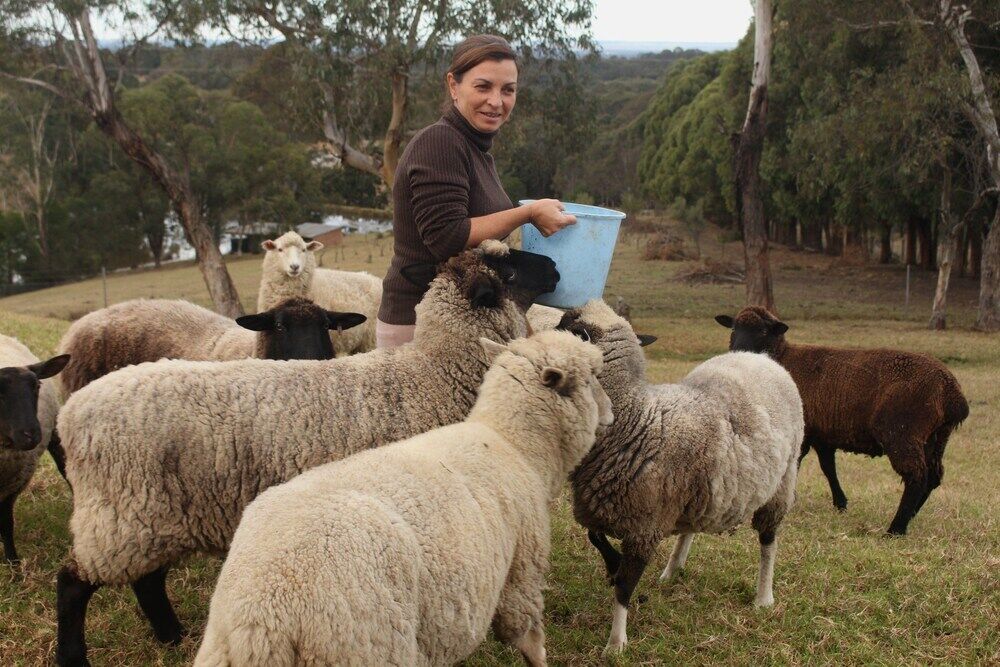 Blueberry Hills On Comleroy Farmstay - Self-Contained Cottages Kurrajong Exterior foto